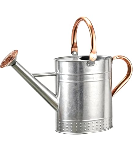 Annaffiatoio In Metallo Zincato Da 5 Litri - Con Rosa - Ideale Per Giardino E Piante