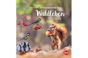 Vadim Trunov: Märchenhaftes Waldleben Postkartenkalender 2025: Der Tierfotograf fängt den Zauber der Waldtiere in seinen atemberaubenden Bildern ein. Süßer Tierkalender 2025. (Postkartenkalender Heye)