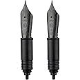 HONG DIAN Set of Hongdian D5 Fountain Pen Black Nib (Extra Fine & Fine), Compatible for Hongdian D5, D1, A6, N12 Replaced Nib Section, (P4TMZSMCU19F)