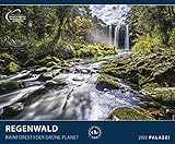 REGENWALD 2020: DER GRÜNE PLANET - Tiere - Wald - Amazonas - Kalender Posterkalender - Wandkalender by