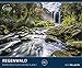 REGENWALD 2020: DER GRÜNE PLANET - Tiere - Wald - Amazonas - Kalender Posterkalender - Wandkalender by