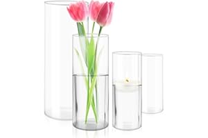 CATIME Szklane wazony na kwiaty, zestaw 4 szklanych świeczników huraganowych, wysoki szklany wazon cylindryczny, przezroczysty, 5,5 x 10 + 6,5 x 15 + 8,5 x 20 + 9,5 x 25 cm, duży do salonu, na imprezę,