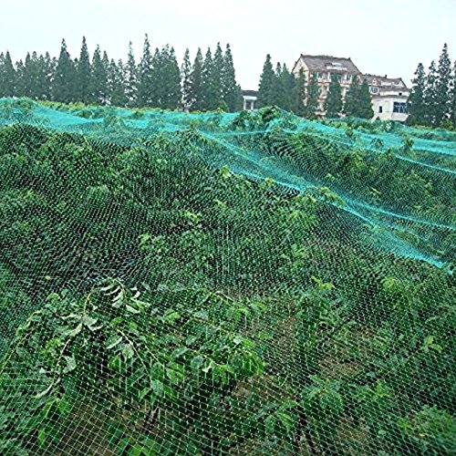Vogelschutznetz für Vögel oder Kleintiere / Dauerhaft & Lasttragende Material, um Pflanzen, Bäume und Sträucher Schützen (4 * 10 M Grün und Engmaschig) - 8