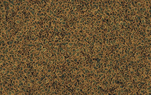 Tetra Pro Algae Premiumfutter (für alle tropischen Zierfische, mit Algenkonzentrat zur Verbesserung der Widerstandskraft, Vitaminstabilität und hoher Nährwert, Spirulina-Alge), 500 ml Dose - 5