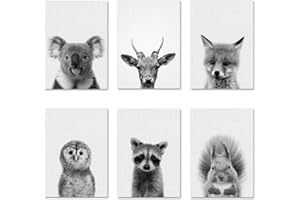 EXQULEG Zestaw 6 plakatów dla dzieci, motyw zwierząt, do pokoju dziecięcego, dekoracja do pokoju dziecięcego, obrazy ścienne, plakat A4, bez ramki na zdjęcia, obrazy ścienne, dla chłopców i