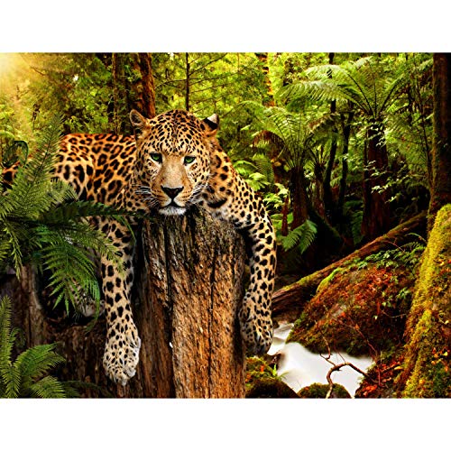 Fototapeten Leopard Afrika 352 x 250 cm Vlies Wand Tapete Wohnzimmer Schlafzimmer Büro Flur Dekoration Wandbilder XXL Moderne Wanddeko - 100% MADE IN GERMANY - Runa Tapeten 9201011a