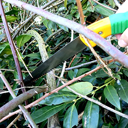 GRÜNTEK Gartensäge Handsäge BARRAKUDA 300 mm, Baumsäge mit gehärteten Zähnen und Kunststoffhalfter. EINFÜHRUNGSPREIS mit Zufriedenheitsgarantie ! - 3
