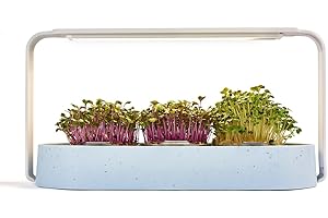 ‎INGARDEN Ingarden Starter Set - Microgreens Kitchen Garden in Blue Ocean Plastic Recycled + 3 Organic Seed Pads - Grow Your Own Microgreens in Just 7 Days - 40x More Nutrients - Soil Free - Modern Design