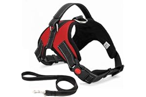 Musonic No Pull Dog Harness Breathable Adjustable Comfort Free Leash Included for Small Medium Large Dog Best for Training Walking M RedNew