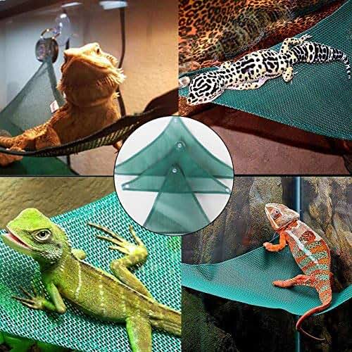 Suchergebnis auf Amazon.de für: terrarium zubehör gecko