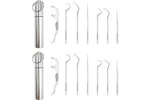 XNIVUIS Set de 2 Cure-dents en Acier Inoxydable Cure-dent en Acier Inoxydable avec Porte-cure-dents, Cure-dent Portatif Cure-dents Réutilisables pour Camping, Pique-niques en Plein Air