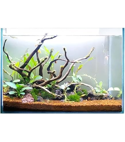 Kurk - Aquarium-achterwanden kopen? | Korting tot 19