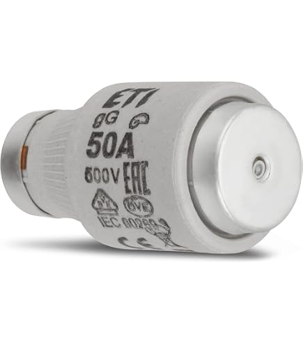 PROTEC.class PSI DIII 63A E33 tr Fusibile 63A E33 tr (5 pezzi