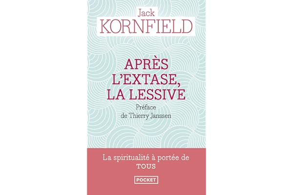 Après l'extase, la lessive: Comment la sagesse du coeur se développe sur la voie spirituelle
