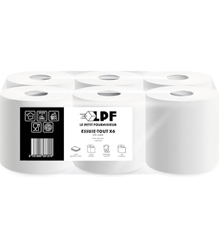 6 Rouleaux Essuie-Mains 2 Plis 450 Formats - Papier Blanc Gaufré Dévidage Central Fabrication Française