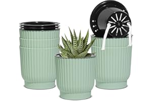 T4U Samonawadniające się Doniczki 10 cm, 6 Sztuk, Plastikowe z Uchwytem, Parapet, do Wszystkich Roślin Wewnętrznych i Zewnętrznych, Fiołki Afrykańskie (Zielone)
