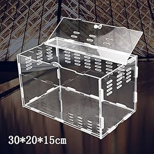 Zhhlinyuan Reptilienbox Cyber Monday Thanksgiving Day Christmas gift Acrylic Transparent Reptile Box Spider Scorpion Gecko Insect Snake Tortoise