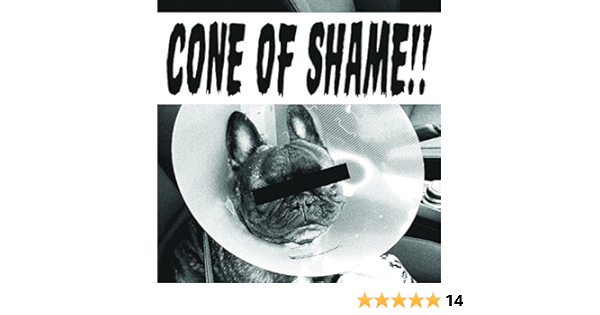 cone of shame amazon