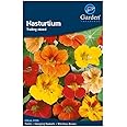 Garden Treasures Nasturtium Trailing Mixed Seeds Grow Your Own Flowers
