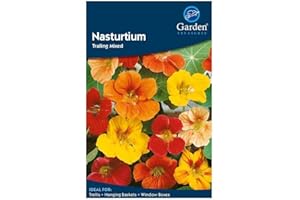 Garden Treasures Nasturtium Trailing Mixed Seeds Grow Your Own Flowers