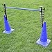 Produktbild Kombi-Leiterhürde für Hürdenparcours, Stange 100 cm, für Agility - Hundetraining (blau)