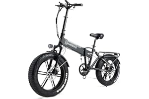 SAMEBIKE Fat Tire Bicicletta elettrica Bicicletta elettrica Mountain Beach Snow Ebike 20 pollici per adulti