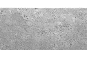 EURODECO 2D Paneele Betonlook Wandpaneele Deckenpaneele Wanddekoration Betonimitation verschiedene Schattierungen! Styropor Artig - Polystyrol XPS (4m², 6914XL)