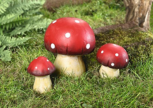 Fliegenpilz, 3er Set - 4