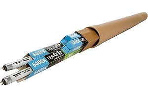 Hydrofarm FLT5264 - Tubos de Repuesto T5 de 24W, 0,6 m, y 6400 K