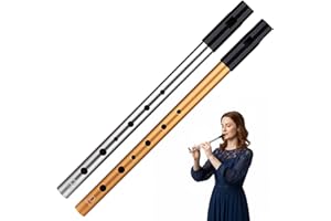 JORCADIS 2 Pack 28CM Aluminum Alloy 6 Hole D Tune Penny Whistle, Tin Whistl Set, Tin for Beginners, and Expert Band Performances, Folk Music Instrument (Gold And Silver)