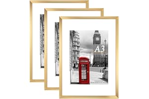 Scholar Tree Gold Photo Frame Picture Frames, A3 with Mat for A4 Mount Picture, Set of 3, Wall Mountable