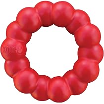 KONG Signature Ball – Hundespielzeug, Größe L, Robust, Für Apportierspiele