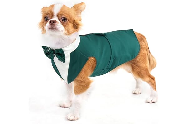 Smoking Chien, Noeud Papillon élégant Chemise de Mariage Formel Chiot Costume Chien avec Bandana Amovible Costume Chien Noel Déguisement pour Petits, Moyens et Grands Chiens(Vert Foncé, S)