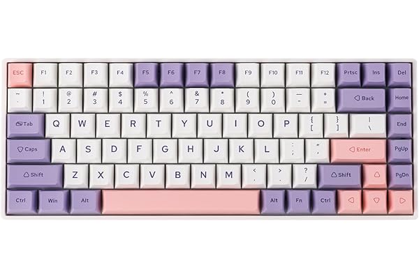 EPOMAKER EP84 Plus 75% Hot-Swap Teclado mecánico para Juegos con Software programable, Tres Modos (2,4 GHz/BT 5.0/USB-C Wired), RGB, NKRO, PBT Teclas para Mac/Win/Gamers (Flamenco)