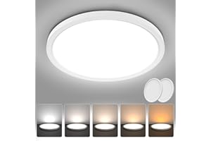 AVANLO 2PCS LED Ceiling Light Ø30cm, 24W/2400LM Ceiling Lamp, 5 Color Temperature-2700K/3500K/4500K/5500K/6200K, Waterproof Ultra Thin Flush Ceiling Light for Kitchen, Bedroom, Hallway