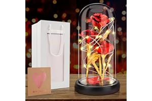 CEWROM Rose im Glas, Ewige Rose im Glas Muttertagsgeschenk Rose im Glas mit LED Lichtern Schöne und das Biest Rose Geschenk mit LED-Licht in Glaskuppel Geschenke für Mama/Oma/Wife/Schwiegermutter(Rot)