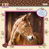 Image de Pferdefreunde 2014