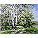 Produktbild LIWEIXKY Rahmenloses Ölgemälde Pappel Forest DIY Paintnig by Numbers Moderne Wandbild Landschaftszeichnung Malen Nach Zahlen Für Inneneinrichtung 40X60Cm