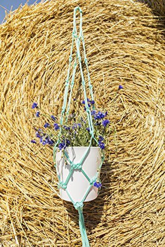 koziol Utensilo 1,2 L Pottichelli M, Kunststoff, solid weiß, 16,2 x 15 x 17 cm - 3