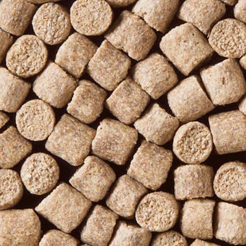 FISHING BAIT : 2KG 4.5MM COPPENS TROUT AND CARP PELLETS GROUNDBAIT by MALTBYS STORES
