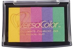 Rayher 2839799 Tampone d'Inchiostro Pigmentato Versacolor, 5 Colori Arcobaleno, Area Timbro 4,7X7,5 cm, Inchiostro a Base d'Acqua, Inchiostro per Timbri