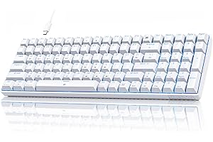 Dierya Clavier Gamer Mécanique DK98se avec Interrupteur Rouge,Clavier Gaming Rétroéclairage Bleu Glacier,Type-c Mechanical Keyboard Compact 98 Touches Anti-ghosting-US Layout,Blanc