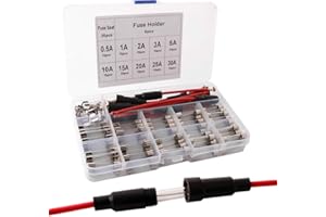 QITINDASEN FULARR® 125Pcs 6X30mm Professionale Auto Vetro Tubo Fusibile Kit: 100Pcs Fast-Soffiato Vetro Fusibile + 20Pcs PCB Clip Portafusibile + 5Pcs In-Linea Vite Tipo Portafusibile, con Plastica Scatola