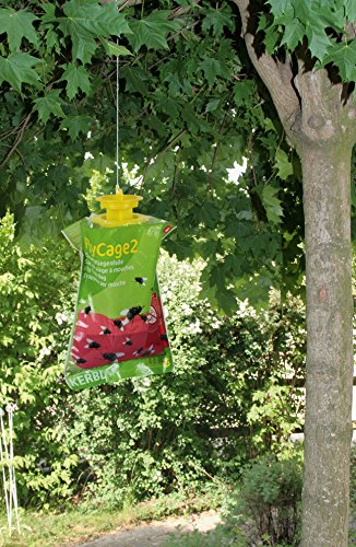 Kerbl 299851 Fliegenfalle FlyCage 2 - 2