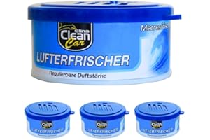 BELUIN Ambientador De Coche 4 latas Para Mantener Un Aroma Agradable - Neutralizador De Olores Para Coches Y Ambiente - Perfume Coche Con Diferentes Aromas Naturales (Frescura de Mar)