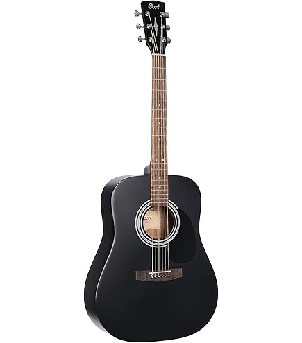 Epiphone DR-100 Akustik Gitar (Ebony) : Amazon.com.tr: Müzik