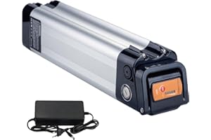 ZUIRUNDA Ebike batería 24V 9Ah reemplazo para Phylion Zhenlong/ZL07010-F Trio MiFa Rex, XH259-10J batería de Bicicleta eléctrica. (24V 9Ah)