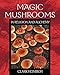 Magic Mushrooms in Religion and Alchemy by 