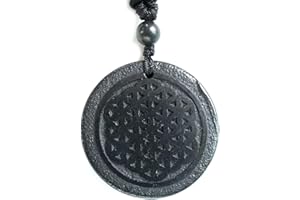 RICHRAIN Halskette mit Anhänger aus echtem natürlichem Schungit, spirituelle Geschenke für Frauen, Kristallheilung, Kristallgeschenke für Männer (20230508UK-SPN-Flower of Life)