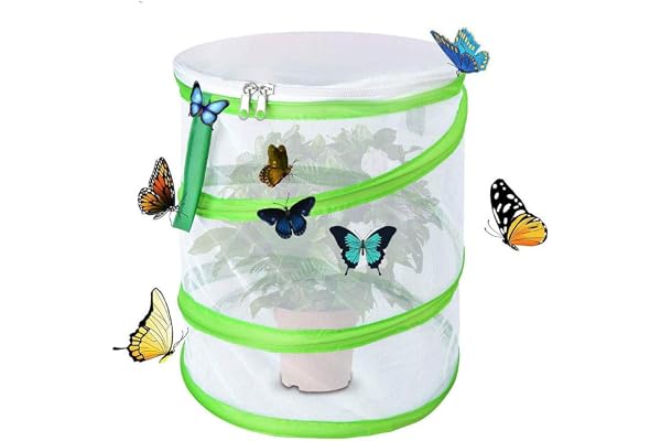 iPobie Insectes et Papillon Cage Mesh, Elevage Papillons Pliable Petite Taille